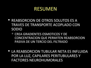 RESUMEN
 REABSORCION DE OTROS SOLUTOS ES A
TRAVES DE TRANSPORTE ACOPLADO CON
SODIO
 CREA GRADIENTES OSMOTICOS Y DE
CONCENTRACION QUE PERMITEN REABSORCION
PASIVA DE UN TERCIO DEL FILTRADO
 LA REABSORCION TUBULAR NETA ES INFLUIDA
POR LA LUZ, CAPILARES PERITUBULARES Y
FACTORES NEUROHUMORALES
 