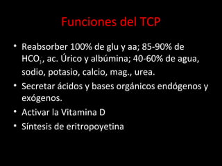 Funciones del TCP
• Reabsorber 100% de glu y aa; 85-90% de
HCO3
-
, ac. Úrico y albúmina; 40-60% de agua,
sodio, potasio, calcio, mag., urea.
• Secretar ácidos y bases orgánicos endógenos y
exógenos.
• Activar la Vitamina D
• Síntesis de eritropoyetina
 