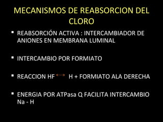 MECANISMOS DE REABSORCION DEL
CLORO
 REABSORCIÓN ACTIVA : INTERCAMBIADOR DE
ANIONES EN MEMBRANA LUMINAL
 INTERCAMBIO POR FORMIATO
 REACCION HF H + FORMIATO ALA DERECHA
 ENERGIA POR ATPasa Q FACILITA INTERCAMBIO
Na - H
 