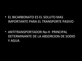 • EL BICARBONATO ES EL SOLUTO MAS
IMPORTANTE PARA EL TRANSPORTE PASIVO
• ANTITRANSPORTADOR Na-H PRINCIPAL
DETERMINANTE DE LA ABSORCION DE SODIO
Y AGUA
 
