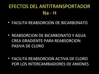 EFECTOS DEL ANTITRANSPORTADOR
Na - H
• FACILITA REABSORCION DE BICARBONATO
• REABSORCION DE BICARBONATO Y AGUA
CREA GRADIENTE PARA REABSORCION
PASIVA DE CLORO
• FACILITA REABSORCION ACTIVA DE CLORO
POR LOS INTERCAMBIADORES DE ANIONES
 