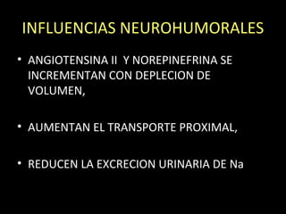 INFLUENCIAS NEUROHUMORALES
• ANGIOTENSINA II Y NOREPINEFRINA SE
INCREMENTAN CON DEPLECION DE
VOLUMEN,
• AUMENTAN EL TRANSPORTE PROXIMAL,
• REDUCEN LA EXCRECION URINARIA DE Na
 