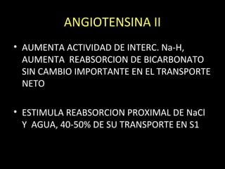 ANGIOTENSINA II
• AUMENTA ACTIVIDAD DE INTERC. Na-H,
AUMENTA REABSORCION DE BICARBONATO
SIN CAMBIO IMPORTANTE EN EL TRANSPORTE
NETO
• ESTIMULA REABSORCION PROXIMAL DE NaCl
Y AGUA, 40-50% DE SU TRANSPORTE EN S1
 