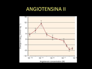 ANGIOTENSINA II
 