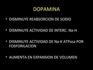 DOPAMINA
• DISMINUYE REABSORCION DE SODIO
• DISMINUYE ACTIVIDAD DE INTERC. Na-H
• DISMINUYE ACTIVIDAD DE Na-K ATPasa POR
FOSFORILACION
• AUMENTA EN EXPANSION DE VOLUMEN
 