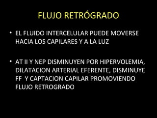 FLUJO RETRÓGRADO
• EL FLUIDO INTERCELULAR PUEDE MOVERSE
HACIA LOS CAPILARES Y A LA LUZ
• AT II Y NEP DISMINUYEN POR HIPERVOLEMIA,
DILATACION ARTERIAL EFERENTE, DISMINUYE
FF Y CAPTACION CAPILAR PROMOVIENDO
FLUJO RETROGRADO
 