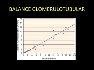 BALANCE GLOMERULOTUBULAR
 