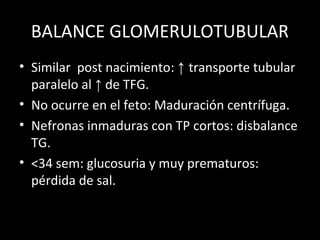 BALANCE GLOMERULOTUBULAR
• Similar post nacimiento: ↑ transporte tubular
paralelo al ↑ de TFG.
• No ocurre en el feto: Maduración centrífuga.
• Nefronas inmaduras con TP cortos: disbalance
TG.
• <34 sem: glucosuria y muy prematuros:
pérdida de sal.
 