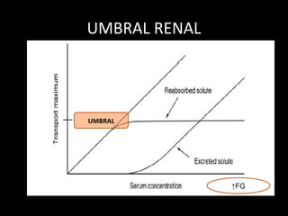UMBRAL RENAL
↑FG
UMBRAL
 