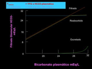 20 24 28 32
8
16
24
32
0
Bicarbonato plasmático mEq/L
FiltradoGlomerularHCO3-
mEq/L
Excretado
Reabsorbido
Filtrado
TmHCO3- = TFG x HCO3-plasmática
3,5 mEq/min = (125 mg/mL) (28 mEq/L)
 