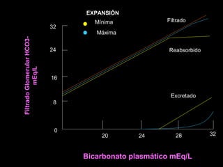 20 24 28 32
8
16
24
32
0
Bicarbonato plasmático mEq/L
FiltradoGlomerularHCO3-
mEq/L
Excretado
Reabsorbido
Filtrado
EXPANSIÓN
Mínima
Máxima
 