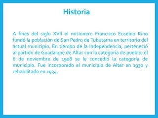Historia
A fines del siglo XVII el misionero Francisco Eusebio Kino
fundó la población de San Pedro de Tubutama en territorio del
actual municipio. En tiempo de la Independencia, perteneció
al partido de Guadalupe de Altar con la categoría de pueblo; el
6 de noviembre de 1908 se le concedió la categoría de
municipio. Fue incorporado al municipio de Altar en 1930 y
rehabilitado en 1934.
 