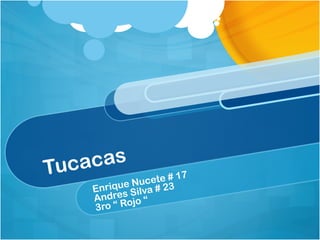 Tucacas
Enrique Nucete # 17
Andres Silva # 23
3ro “ Rojo “
 