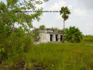 Pues aquí en esta foto les muestro la ruinas de muyil