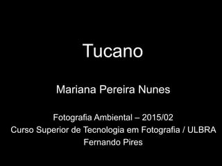 Tucano
Mariana Pereira Nunes
Fotografia Ambiental – 2015/02
Curso Superior de Tecnologia em Fotografia / ULBRA
Fernando Pires
 