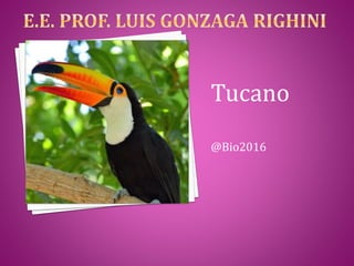 Tucano
@Bio2016
 