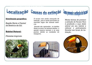 TÍTULO INTERIOR PRINCIPAL




Distribuição geográfica:   O tucano vem sendo ameaçado de
                           extinção , pois é muito procurado no     Muitas formas de prevenir
                           mercado negro dos animais exóti-         a extinção do Tucano Toco
Região Norte e Central     cos.                                     é proibindo a caça deste
da América do Sul.          Quando são capturados , os ladrões      animal em seu habitat e
                           levam os ovos e os animais adultos , a   reforçar o policiamento
                           grande maioria morrem e os ovos          florestal nos locais de ha-
Habitat Natural:           partem devido as condições do            bitação .
                           transporte .
Florestas tropicais.
 