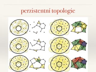 perzistentní topologie
 