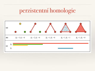 perzistentní homologie
 