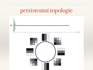 perzistentní topologie
 