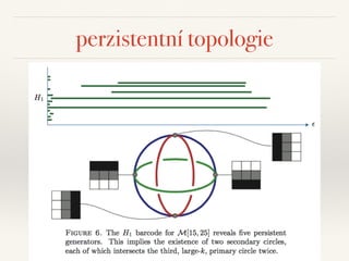 perzistentní topologie
 