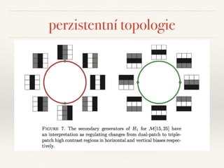 perzistentní topologie
 