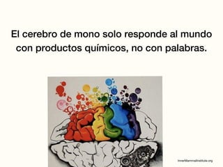 El cerebro de mono solo responde al mundo
con productos químicos, no con palabras.
 
