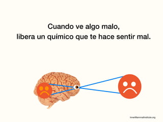 Cuando ve algo malo,
libera un químico que te hace sentir mal.
 