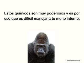 Estos químicos son muy poderosos y es por
eso que es difícil manejar a tu mono interno.
 