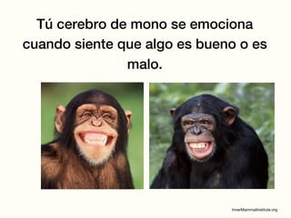 Tú cerebro de mono se emociona
cuando siente que algo es bueno o es
malo.
 