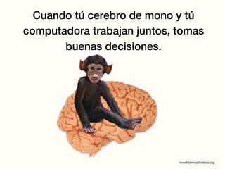 Cuando tú cerebro de mono y tú
computadora trabajan juntos, tomas
buenas decisiones.
 