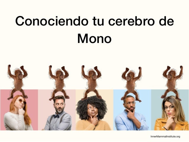 Conociendo tu cerebro de
Mono
 