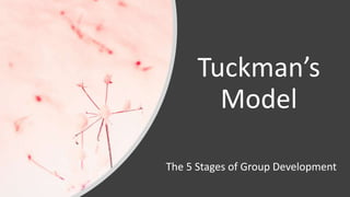 Tuckman’s
Model
The 5 Stages of Group Development
 