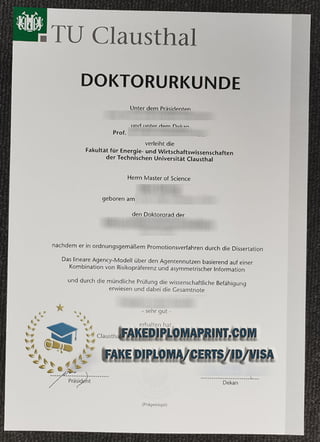 TU Clausthal degree.pdf
