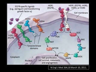 N Engl J Med 364;10 March 10, 2011.
 