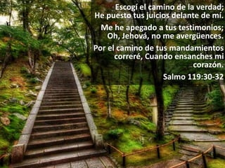 Escogí el camino de la verdad;
He puesto tus juicios delante de mí.
Me he apegado a tus testimonios;
Oh, Jehová, no me avergüences.
Por el camino de tus mandamientos
correré, Cuando ensanches mi
corazón.
Salmo 119:30-32
 