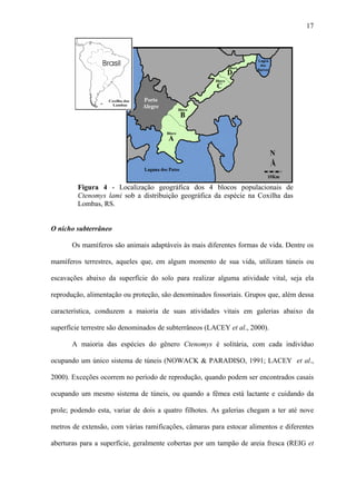 17

Figura 4 - Localização geográfica dos 4 blocos populacionais de
Ctenomys lami sob a distribuição geográfica da espécie na Coxilha das
Lombas, RS.

O nicho subterrâneo
Os mamíferos são animais adaptáveis às mais diferentes formas de vida. Dentre os
mamíferos terrestres, aqueles que, em algum momento de sua vida, utilizam túneis ou
escavações abaixo da superfície do solo para realizar alguma atividade vital, seja ela
reprodução, alimentação ou proteção, são denominados fossoriais. Grupos que, além dessa
característica, conduzem a maioria de suas atividades vitais em galerias abaixo da
superfície terrestre são denominados de subterrâneos (LACEY et al., 2000).
A maioria das espécies do gênero Ctenomys é solitária, com cada indivíduo
ocupando um único sistema de túneis (NOWACK & PARADISO, 1991; LACEY et al.,
2000). Exceções ocorrem no período de reprodução, quando podem ser encontrados casais
ocupando um mesmo sistema de túneis, ou quando a fêmea está lactante e cuidando da
prole; podendo esta, variar de dois a quatro filhotes. As galerias chegam a ter até nove
metros de extensão, com várias ramificações, câmaras para estocar alimentos e diferentes
aberturas para a superfície, geralmente cobertas por um tampão de areia fresca (REIG et

 