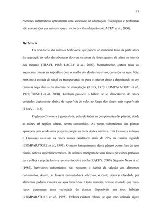 19
roedores subterrâneos apresentem uma variedade de adaptações fisiológicas e problemas
não encontrados em animais sem o nicho de vida subterrâneo (LACEY et al., 2000).

Herbivoria
Os tuco-tucos são animais herbívoros, que podem se alimentar tanto da parte aérea
da vegetação ao redor das aberturas dos seus sistemas de túneis quanto de raízes no interior
dos mesmos (TRAVI, 1983; LACEY et al., 2000). Normalmente, cortam talos ou
arrancam rizomas na superfície com o auxílio dos dentes incisivos, comendo na superfície,
próximo à entrada do túnel ou transportando-os para o interior deste e depositando-os em
câmaras logo abaixo da abertura de alimentação (REIG, 1970; COMPARATORE et al.,
1995; BUSCH et al. 2000). Também possuem o hábito de se alimentarem de raízes
coletadas diretamente abaixo da superfície do solo, ao longo dos túneis mais superficiais
(TRAVI, 1983).
O gênero Ctenomys é generalista, podendo todos os componentes das plantas, desde
as raízes até regiões aéreas, serem consumidos. As partes subterrâneas das plantas
aparecem com sendo uma pequena porção da dieta destes animais. Em Ctenomys talarum
e Ctenomys australis as raízes nunca constituem mais de 22% da comida ingerida
(COMPARATORE et al., 1995). O maior forrageamento desse gênero ocorre fora de seus
túneis, sobre a superfície terrestre. Os animais emergem de seus túneis por curtos períodos
para colher a vegetação em crescimento sobre o solo (LACEY, 2000). Segundo Nevo et al.
(1989), herbívoros subterrâneos não possuem o hábito de seleção dos alimentos
consumidos. Assim, se fossem consumidores seletivos, o custo dessa seletividade por
alimentos poderia exceder os seus benefícios. Desta maneira, tem-se relatado que tucotucos

consomem

uma

variedade

de

plantas

disponíveis

em

seus

habitats

(COMPARATORE et al., 1995). Embora existam relatos de que estes animais sejam

 