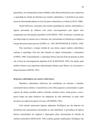 20
generalistas, em contrapartida existem trabalhos sobre dietas preferenciais que comprovam
a capacidade de seleção de alimentos por roedores subterrâneos. A preferência por partes
aéreas de determinadas plantas ao invés de partes subterrâneas é evidente (LACEY, 2000).
Sendo herbívoros, consomem uma enorme quantidade de celulose, hemicelulose e
lignina, precisando da simbiose com outros microorganismos para digerir estes
componentes por fermentação anaeróbica (VAN SOEST, 1982). O alimento é mantido por
um longo tempo no enorme ceco e intestinos, até a fermentação ter liberado por completo a
energia decorrente deste processo (LOEB et al., 1991; BUFFENSTEIN & YAHAV, 1994).
Para maximizar a energia extraída de suas dietas, alguns roedores subterrâneos
realizam a coprofagia. Esta tem sido relatada em alguns Ctenomydeos e Geomydeos
(CORTE, 1998). Funcionalmente, a coprofagia fornece uma boa fonte de proteína na dieta
sob a forma de microorganismos digeridos (LEE & HOUSTON, 1993). Em adição, pode
também fornecer uma importante suplementação dietética para filhotes em crescimento e
fêmeas lactantes (JARVIS, 1991).

Respostas ecofisiológicas em roedores subterrâneos
Mamíferos subterrâneos herbívoros são semelhantes em estrutura e tamanho,
construindo túneis similares. Características como olhos pequenos e posicionados na parte
superior da cabeça, pavilhão auditivo reduzido, membros curtos, cauda grossa e curta e
garras longas nas patas dianteiras são adaptações de vida subterrânea, as quais estão
presentes nas espécies do gênero Ctenomys (PEARSON, 1959).
Estes animais apresentam algumas adaptações fisiológicas que são impostas em
decorrência das características encontradas na vida subterrânea. A prevalência de hipóxia
(baixas concentrações de oxigênio) e hipercapnia (altas concentrações de dióxido de
carbono) atmosférica (MACLEAN, 1981) acabam gerando modificações fisiológicas não

 