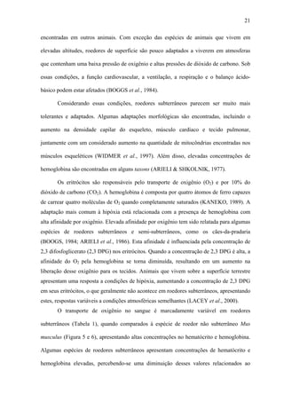 21
encontradas em outros animais. Com exceção das espécies de animais que vivem em
elevadas altitudes, roedores de superfície são pouco adaptados a viverem em atmosferas
que contenham uma baixa pressão de oxigênio e altas pressões de dióxido de carbono. Sob
essas condições, a função cardiovascular, a ventilação, a respiração e o balanço ácidobásico podem estar afetados (BOGGS et al., 1984).
Considerando essas condições, roedores subterrâneos parecem ser muito mais
tolerantes e adaptados. Algumas adaptações morfológicas são encontradas, incluindo o
aumento na densidade capilar do esqueleto, músculo cardíaco e tecido pulmonar,
juntamente com um considerado aumento na quantidade de mitocôndrias encontradas nos
músculos esqueléticos (WIDMER et al., 1997). Além disso, elevadas concentrações de
hemoglobina são encontradas em alguns taxons (ARIELI & SHKOLNIK, 1977).
Os eritrócitos são responsáveis pelo transporte de oxigênio (O2) e por 10% do
dióxido de carbono (CO2). A hemoglobina é composta por quatro átomos de ferro capazes
de carrear quatro moléculas de O2 quando completamente saturados (KANEKO, 1989). A
adaptação mais comum à hipóxia está relacionada com a presença de hemoglobina com
alta afinidade por oxigênio. Elevada afinidade por oxigênio tem sido relatada para algumas
espécies de roedores subterrâneos e semi-subterrâneos, como os cães-da-pradaria
(BOOGS, 1984; ARIELI et al., 1986). Esta afinidade é influenciada pela concentração de
2,3 difosfoglicerato (2,3 DPG) nos eritrócitos. Quando a concentração de 2,3 DPG é alta, a
afinidade do O2 pela hemoglobina se torna diminuída, resultando em um aumento na
liberação desse oxigênio para os tecidos. Animais que vivem sobre a superfície terrestre
apresentam uma resposta a condições de hipóxia, aumentando a concentração de 2,3 DPG
em seus eritrócitos, o que geralmente não acontece em roedores subterrâneos, apresentando
estes, respostas variáveis a condições atmosféricas semelhantes (LACEY et al., 2000).
O transporte de oxigênio no sangue é marcadamente variável em roedores
subterrâneos (Tabela 1), quando comparados à espécie de roedor não subterrâneo Mus
musculus (Figura 5 e 6), apresentando altas concentrações no hematócrito e hemoglobina.
Algumas espécies de roedores subterrâneos apresentam concentrações de hematócrito e
hemoglobina elevadas, percebendo-se uma diminuição desses valores relacionados ao

 