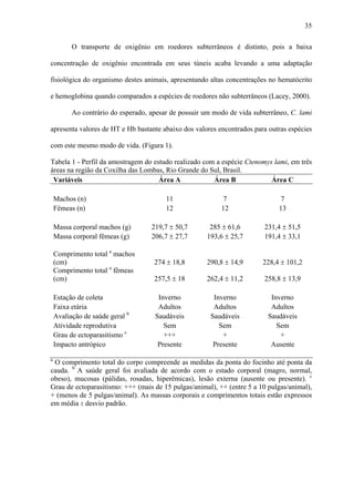 35
O transporte de oxigênio em roedores subterrâneos é distinto, pois a baixa
concentração de oxigênio encontrada em seus túneis acaba levando a uma adaptação
fisiológica do organismo destes animais, apresentando altas concentrações no hematócrito
e hemoglobina quando comparados a espécies de roedores não subterrâneos (Lacey, 2000).
Ao contrário do esperado, apesar de possuir um modo de vida subterrâneo, C. lami
apresenta valores de HT e Hb bastante abaixo dos valores encontrados para outras espécies
com este mesmo modo de vida. (Figura 1).
Tabela 1 - Perfil da amostragem do estudo realizado com a espécie Ctenomys lami, em três
áreas na região da Coxilha das Lombas, Rio Grande do Sul, Brasil.
Variáveis
Área A
Área B
Área C
Machos (n)
Fêmeas (n)
Massa corporal machos (g)
Massa corporal fêmeas (g)
Comprimento total a machos
(cm)
Comprimento total a fêmeas
(cm)
Estação de coleta
Faixa etária
Avaliação de saúde geral b
Atividade reprodutiva
Grau de ectoparasitismo c
Impacto antrópico
a

11
12

7
12

7
13

219,7 ± 50,7
206,7 ± 27,7

285 ± 61,6
193,6 ± 25,7

231,4 ± 51,5
191,4 ± 33,1

274 ± 18,8

290,8 ± 14,9

228,4 ± 101,2

257,5 ± 18

262,4 ± 11,2

258,8 ± 13,9

Inverno
Adultos
Saudáveis
Sem
+++
Presente

Inverno
Adultos
Saudáveis
Sem
+
Presente

Inverno
Adultos
Saudáveis
Sem
+
Ausente

O comprimento total do corpo compreende as medidas da ponta do focinho até ponta da
cauda. b A saúde geral foi avaliada de acordo com o estado corporal (magro, normal,
obeso), mucosas (pálidas, rosadas, hiperêmicas), lesão externa (ausente ou presente). c
Grau de ectoparasitismo: +++ (mais de 15 pulgas/animal), ++ (entre 5 a 10 pulgas/animal),
+ (menos de 5 pulgas/animal). As massas corporais e comprimentos totais estão expressos
em média ± desvio padrão.

 