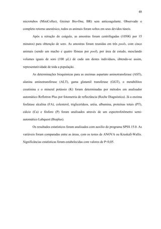 48
microtubos (MiniCollect, Greiner Bio-One, BR) sem anticoagulante. Observado o
completo retorno anestésico, todos os animais foram soltos em seus devidos túneis.
Após a retração do coágulo, as amostras foram centrifugadas (1050G por 15
minutos) para obtenção de soro. As amostras foram reunidas em três pools, com cinco
animais (sendo um macho e quatro fêmeas por pool), por área de estudo, mesclando
volumes iguais de soro (100 μL) de cada um destes indivíduos, obtendo-se assim,
representatividade de toda a população.
As determinações bioquímicas para as enzimas aspartato aminotransferase (AST),
alanina aminotransferase (ALT), gama glutamil transferase (GGT), o metabólitos
creatinina e o mineral potássio (K) foram determinadas por métodos em analisador
automático Reflotron Plus por fotometria de reflectância (Roche Diagnóstica). Já a enzima
fosfatase alcalina (FA), colesterol, triglicerídeos, uréia, albumina, proteínas totais (PT),
cálcio (Ca) e fósforo (P) foram analisados através de um espectrofotômetro semiautomático Labquest (Bioplus).
Os resultados estatísticos foram analisados com auxílio do programa SPSS 15.0. As
variáveis foram comparadas entre as áreas, com os testes de ANOVA ou Kruskall-Wallis.
Significâncias estatísticas foram estabelecidas com valores de P<0,05.

 