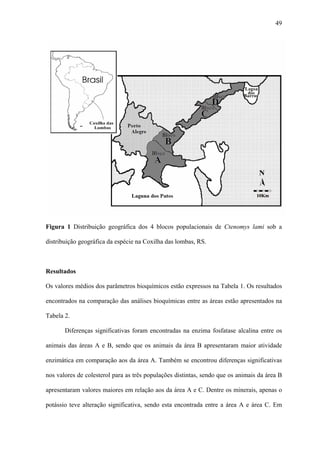 49

Figura 1 Distribuição geográfica dos 4 blocos populacionais de Ctenomys lami sob a
distribuição geográfica da espécie na Coxilha das lombas, RS.

Resultados
Os valores médios dos parâmetros bioquímicos estão expressos na Tabela 1. Os resultados
encontrados na comparação das análises bioquímicas entre as áreas estão apresentados na
Tabela 2.
Diferenças significativas foram encontradas na enzima fosfatase alcalina entre os
animais das áreas A e B, sendo que os animais da área B apresentaram maior atividade
enzimática em comparação aos da área A. Também se encontrou diferenças significativas
nos valores de colesterol para as três populações distintas, sendo que os animais da área B
apresentaram valores maiores em relação aos da área A e C. Dentre os minerais, apenas o
potássio teve alteração significativa, sendo esta encontrada entre a área A e área C. Em

 