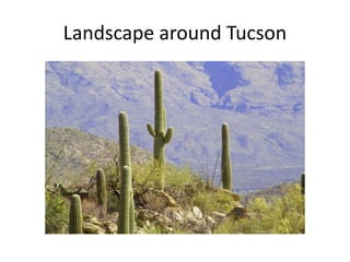 Landscape around Tucson
 