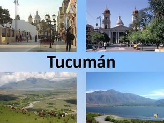Tucumán

 