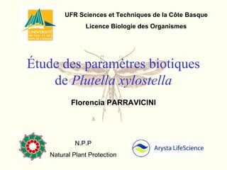 Étude des paramètres biotiques
de Plutella xylostella
Florencia PARRAVICINI
N.P.P
Natural Plant Protection
UFR Sciences et Techniques de la Côte Basque
Licence Biologie des Organismes
 