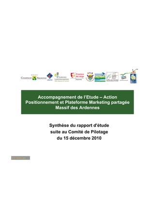 Accompagnement de l’Etude – Action
Positionnement et Plateforme Marketing partagée
            Massif des Ardennes



          Synthèse du rapport d'étude
          suite au Comité de Pilotage
             du 15 décembre 2010
 