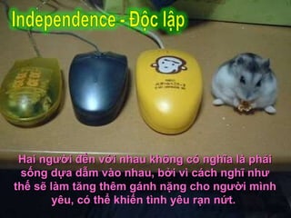 Hai người đến với nhau không có nghĩa là phải sống dựa dẫm vào nhau, bởi vì cách nghĩ như thế sẽ làm tăng thêm gánh nặng cho người mình yêu, có thể khiến tình yêu rạn nứt.  