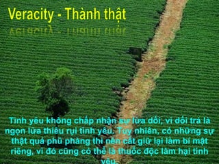 Tình yêu không chấp nhận sự lừa dối, vì dối trá là ngọn lửa thiêu rụi tình yêu. Tuy nhiên, có những sự thật quá phũ phàng thì nên cất giữ lại làm bí mật riêng, vì đó cũng có thể là thuốc độc làm hại tình yêu. 