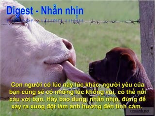 Con người có lúc này lúc khác, người yêu của bạn cũng sẽ có những lúc không vui, có thể nổi cáu với bạn. Hãy bao dung, nhẫn nhịn, đừng để xảy ra xung đột làm ảnh hưởng đến tình cảm.  